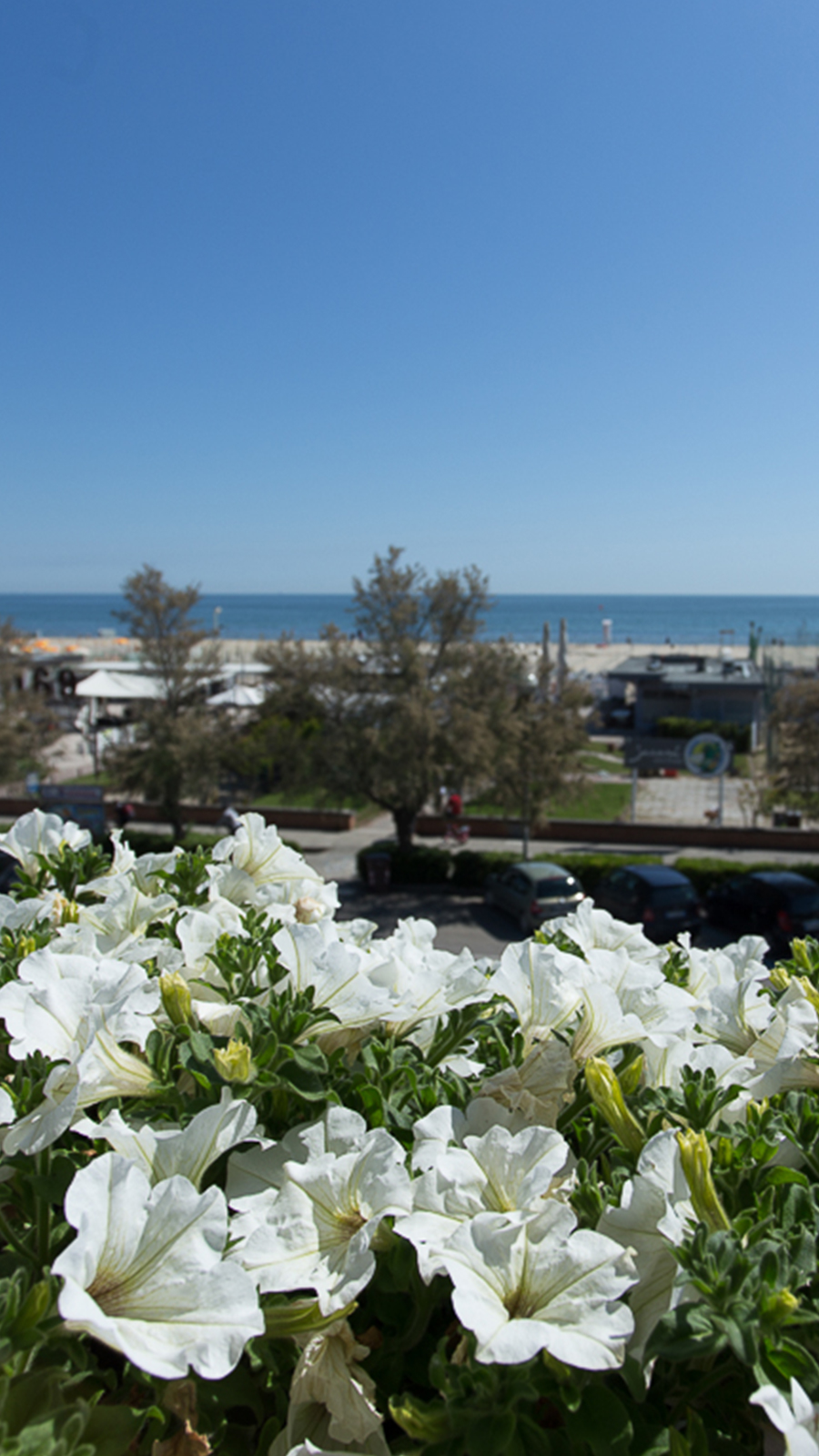 Hotel Souvenir Cervia